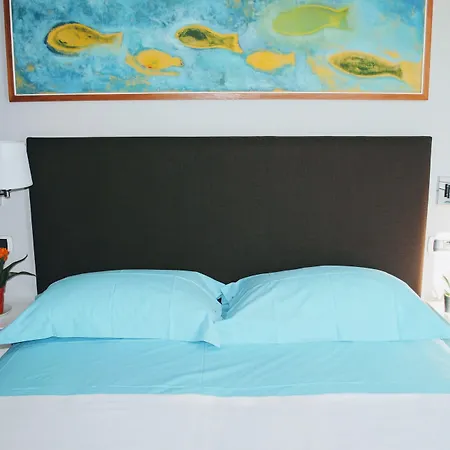 Cavour 278 Affittacamere 4*